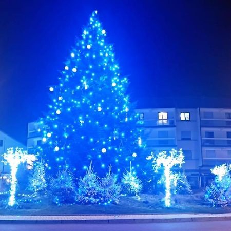 Appartement Chaleureux Remiremont Dış mekan fotoğraf