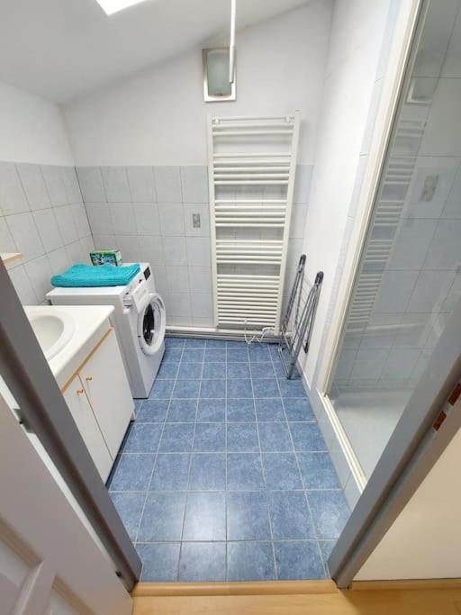 Appartement Chaleureux Remiremont Dış mekan fotoğraf